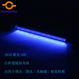 T8 lure purple LED tube low voltage 12V UVA ultraviolet mosquito lamp accessories 331-435-589MM