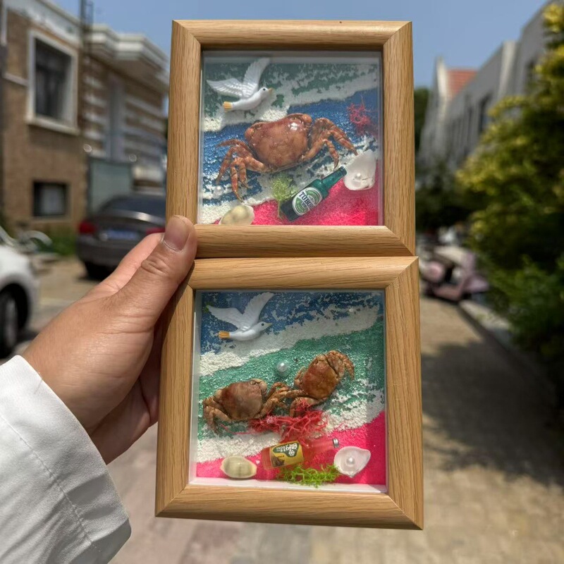 送料無料天然法螺貝塩漬け魚ナマコカニ標本フォトフレーム装飾品海辺クリエイティブギフト誕生日ギフト|undefined