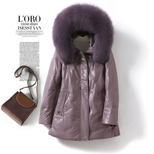 �������b�����q�����L��2025�¿�������Ů�ﶬ�����q���º�����