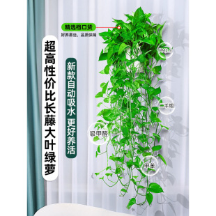 �G�j������~�L�پG�}�҃ȿ͏d������ȩ�L��G�j�����mˮ��Gֲ