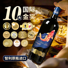 傲鱼智利原装原瓶进口红酒干红葡萄酒水果酒整箱批发代理代发送礼