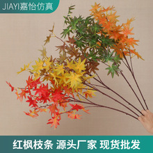 ����t���~��֦�Gֲ�͏d�b��þ��^���ϻ����R����ٗ��~���l