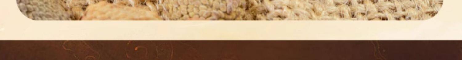 Fu Pen Zi Raspberry Dried Fruit Tea Quality Zhejiang Herbal Tea 250g 5 Jars specifications