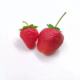 Wholesale simulation strawberry vegetable fruit Model plastic fruit children's early education toy cabinet photography props accessories