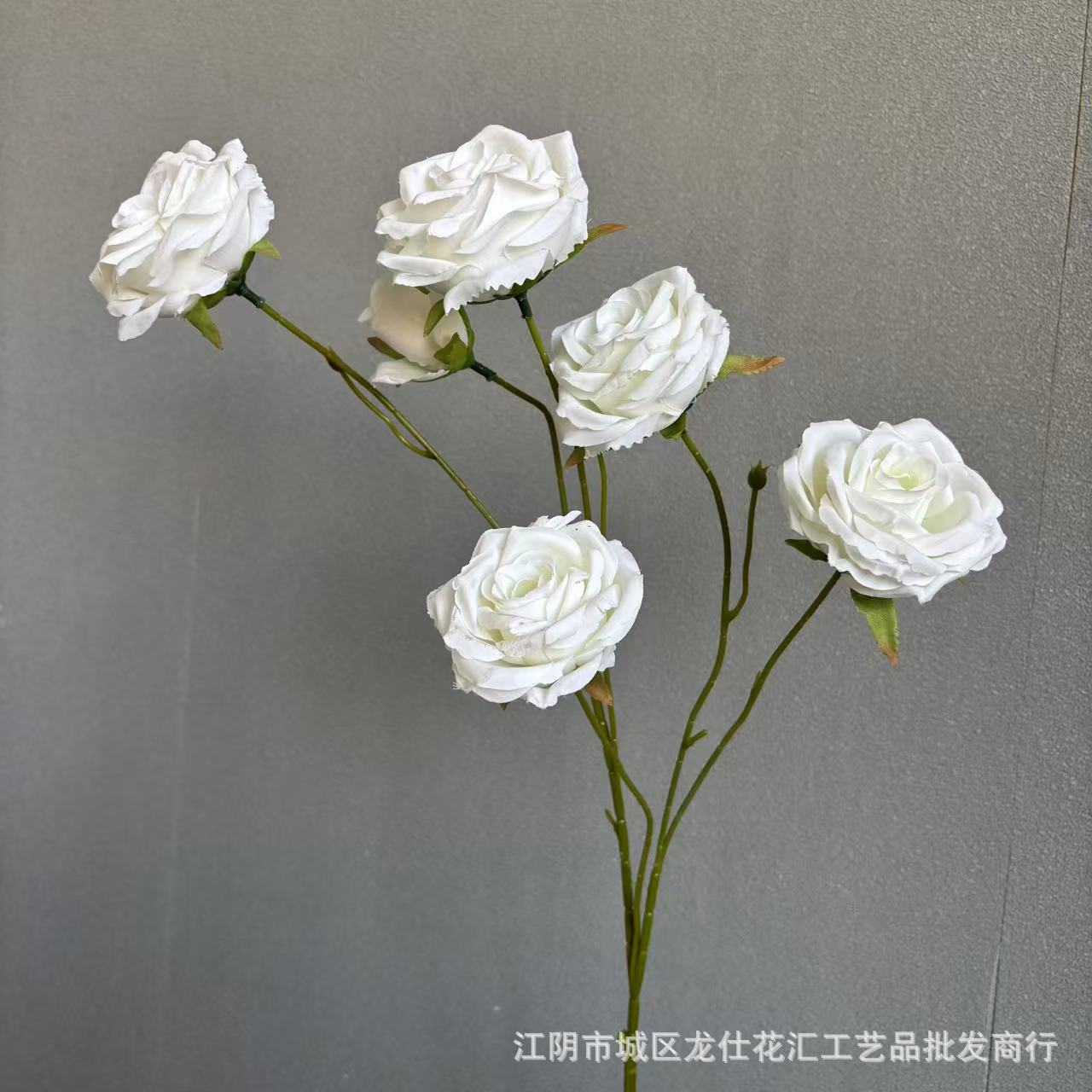 달빛 6송이 장미
