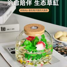 微景观生态瓶鱼缸器皿摆件斗鱼瓶 水培花盆水培植物玻璃带灯瓶
