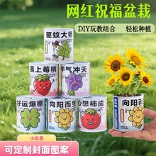 创意网红祝福易拉罐盆栽 室内桌面迷你绿植花卉 儿童种植罐头盆栽