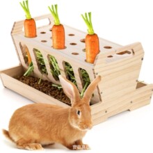 ���l����ιʳ�������û\ʳ�������픲��ɲ�ж������؈��ľ��