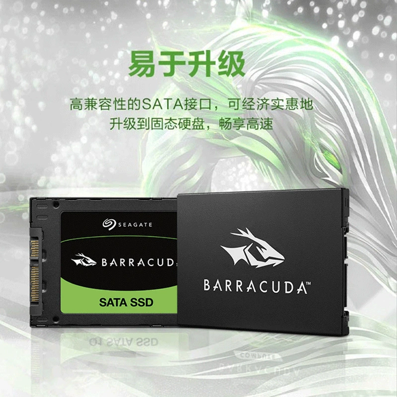Натуральный ноутбук, SSD 256ГБ, 2.5-дюйма, 512ГБ