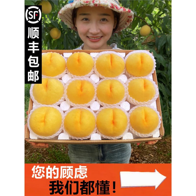 黄桃新鲜水果山东蒙阴现摘大果锦绣黄金肉蜜非炎陵应当季整箱毛桃