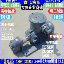 WBZ-CB-B40 B50 B63ʽX݆ͱ÷늙CM2.2KW YB3-100L-4