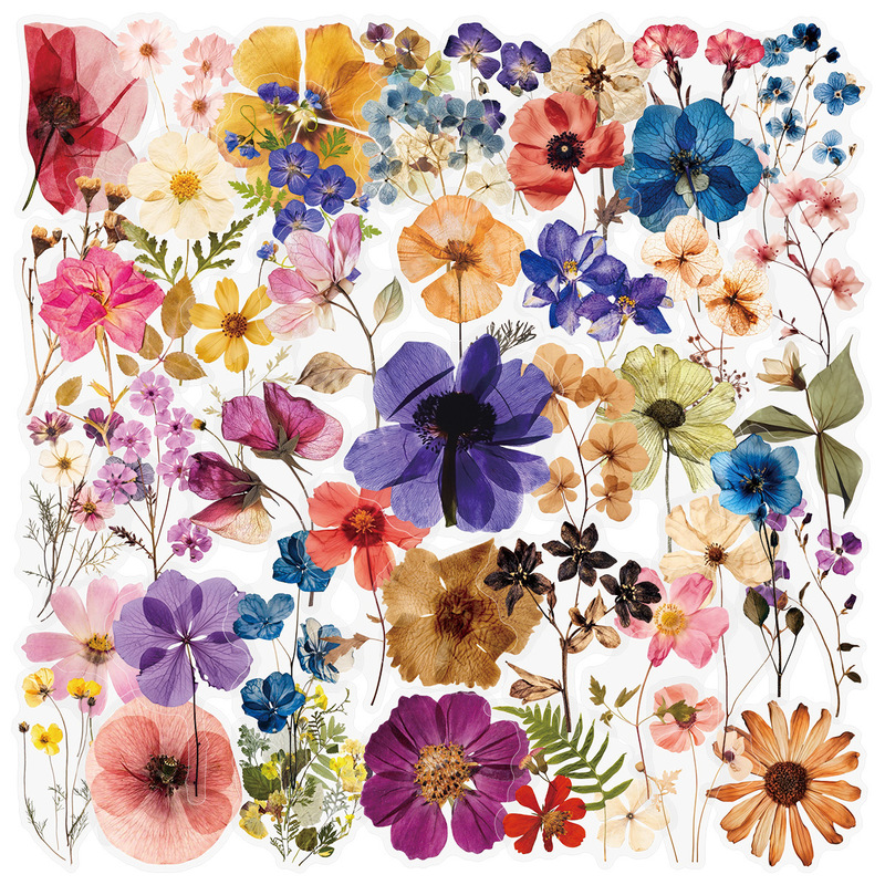 50 Sheets of Transparent Embossed Plant Material Stickers for Notebooks, Tablets, Phone Cases, Water Cups, Decorative Pet Stickers 50 Sheets of Transparent Embossed Plant Material Stickers for Notebooks, Tablets, Phone Cases, Water Cups, Decorative Pet Stickers