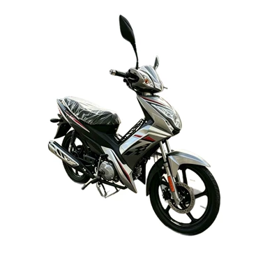Fuel-Efficient and Durable Model, Motosikletlər