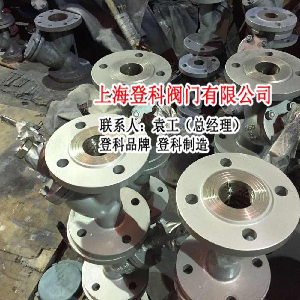 铸钢Y型过滤器 法兰式WCB材质过滤器 GL41H-25C DN250 过滤器