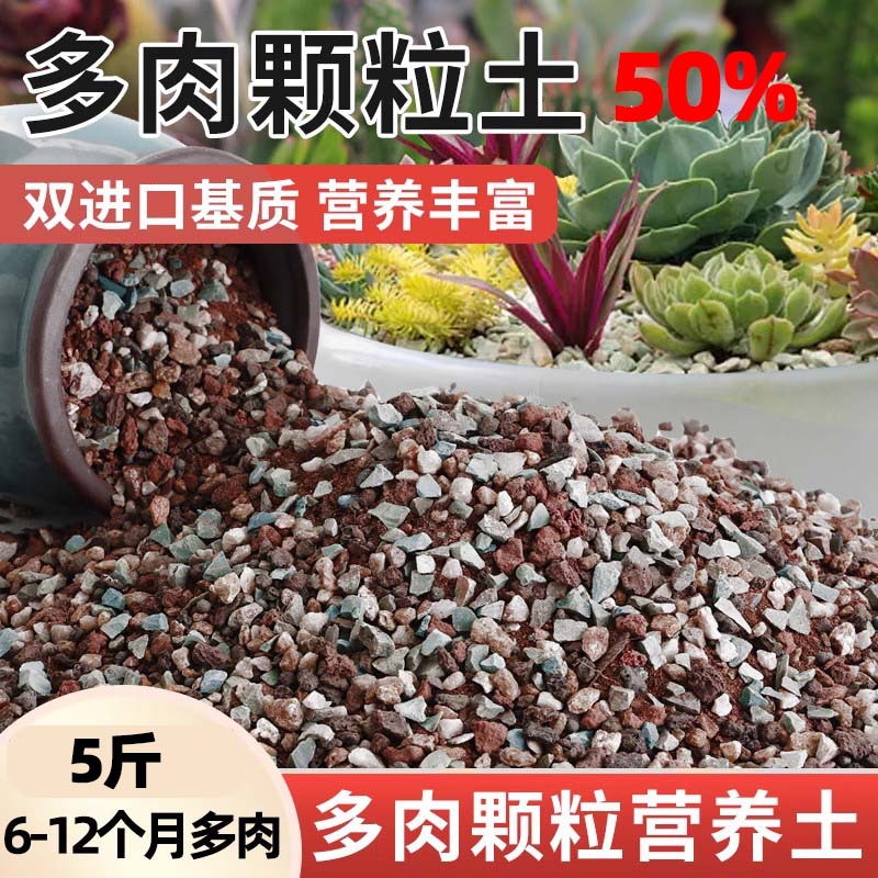 Succulent soil [50% particles] 2.5kg