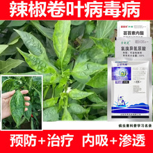 �����������ײ������߲��岡���~�S�~��ݲ�̿�Ҹ������ײ͚�����