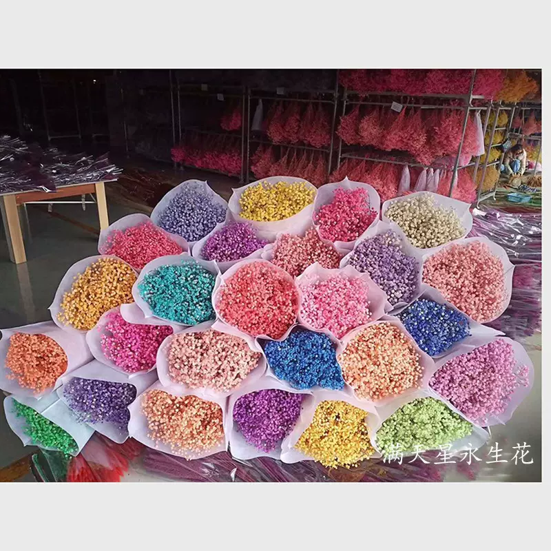 永生花满天星干花花束云南厂家批发装饰材料情人节520礼物满天星