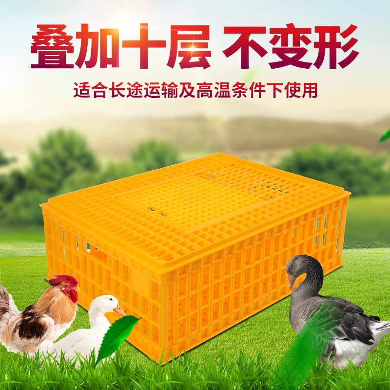 Jaula de pollo caja de rotación de plástico en una canasta de transporte de pollo, pato y ganso Jaula de pollo de gran tamaño gruesa Jaula de pollo, pato y ganso Jaula de transporte de rotación