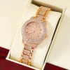 NO4503 rose