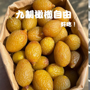 �����ϙ��S�ϙ�������T�V�|�������eС��ʳ�����ʳ��������