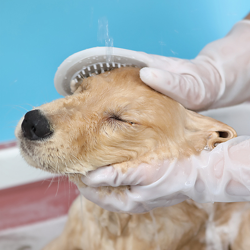 애완 동물 브러시 고양이 개 브러시 애완 동물 강아지 고양이 마사지 브러시 개 마사지 목욕 세척 무료 청소 장갑