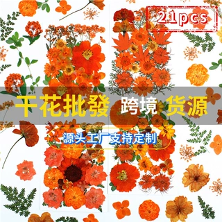 干花diy材料包压花片押花永生花草手工滴胶书签真花植物树叶标本