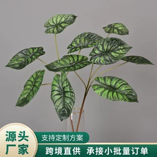 仿真绿植龙鳞海芋家居室内插花龙鳞藤叶假植物墙橱窗造景装饰厂家