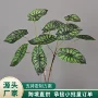 家居仿真橱窗假植物插花