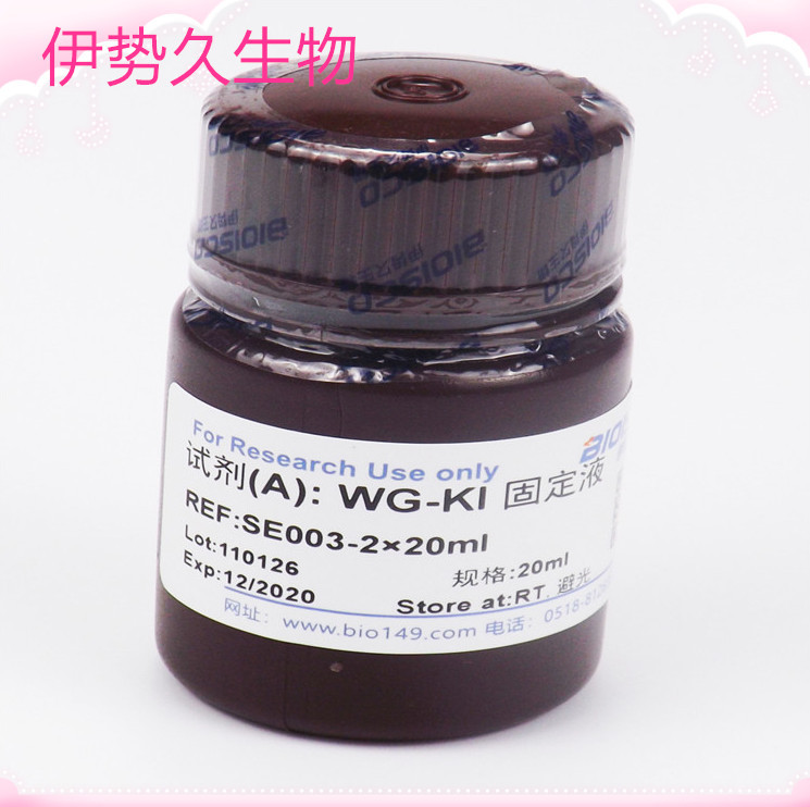 伊势久生物--过氧化物酶染色液（氧化WG-KI法）