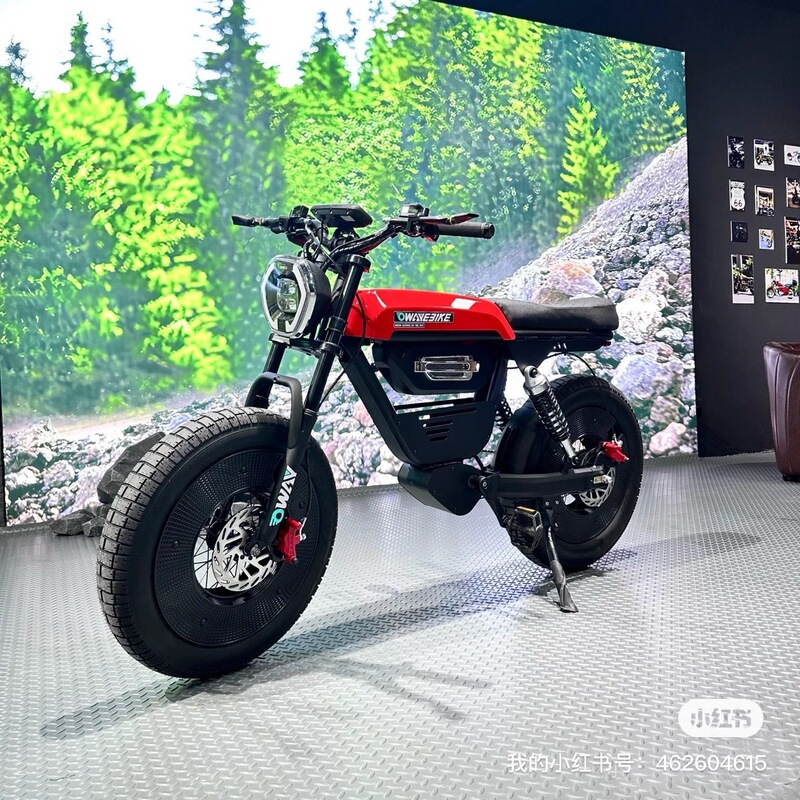 輸出バージョンのパワーアシスト滑り止めワイドタイヤ電動自転車は、大人と若者向けのライセンス付き通勤スクーターとしてドロップシッピングできます。|undefined