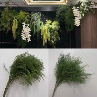 ����Gֲ�R����ɭϵ��Y�����廨��̨���üҾӔ[���ɰ�֦�쾰�b�
