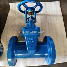 HHRX-16C Z41X-16C 弹性座铸钢软密封明杆闸阀 水泵房消防闸阀