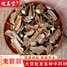 中药材批发供应 鬼箭羽 鬼见羽 卫矛 羽鬼箭 六月凌 冷背一站式购