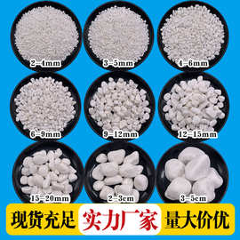 批发白石子白色卵石庭院公园铺路白色石头微景观装饰造景白色石子