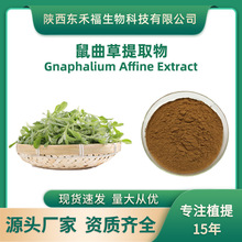 ��������ȡ�� Gnaphalium Affine Extract����ݷ� 1Kgÿ��