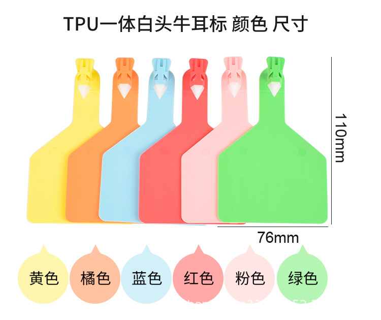 TPU牛详情_08.jpg
