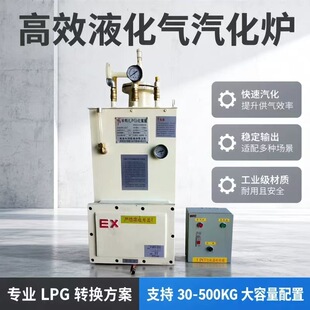 �а�Һ����⻯�t30-500KG �⻯��Һ ��ʯ�͚�늼ӟ���LPG