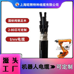 �C������| ��Ť�D�͏���1000�f�� �������ξ� TRVV��������朾�