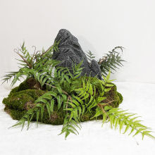 ���W�L����Gֲ�ٻ��b�ֲ������P�쾰�҃�ܛ�b�پGֲ¶�I�b�