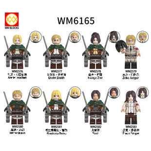 ���Q؛ƷWM6165ƴ�b��߄���ϵ�г����;������зeľ���b