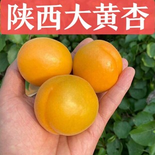 2026�����r��̫ꖴ��S�ӑ����������ӬFժ�ЋD�a��ˮ�����l���l