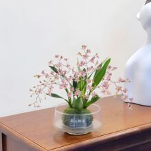 �ۉ����m̦�\�������m�_��ֲ������k���҃ȿ͏d�Gֲ��������