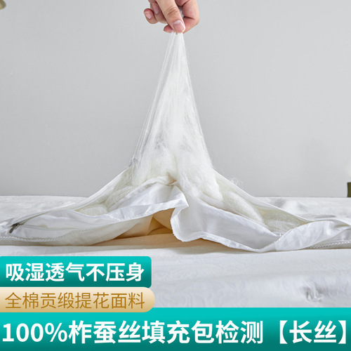 All-cotton Silk Quilt Summer Cooling Air Conditioning Quilt 100% Silk Made Winter Quilt Spring and Autumn Core Double Couple Mother and Child Quilt Wholesale