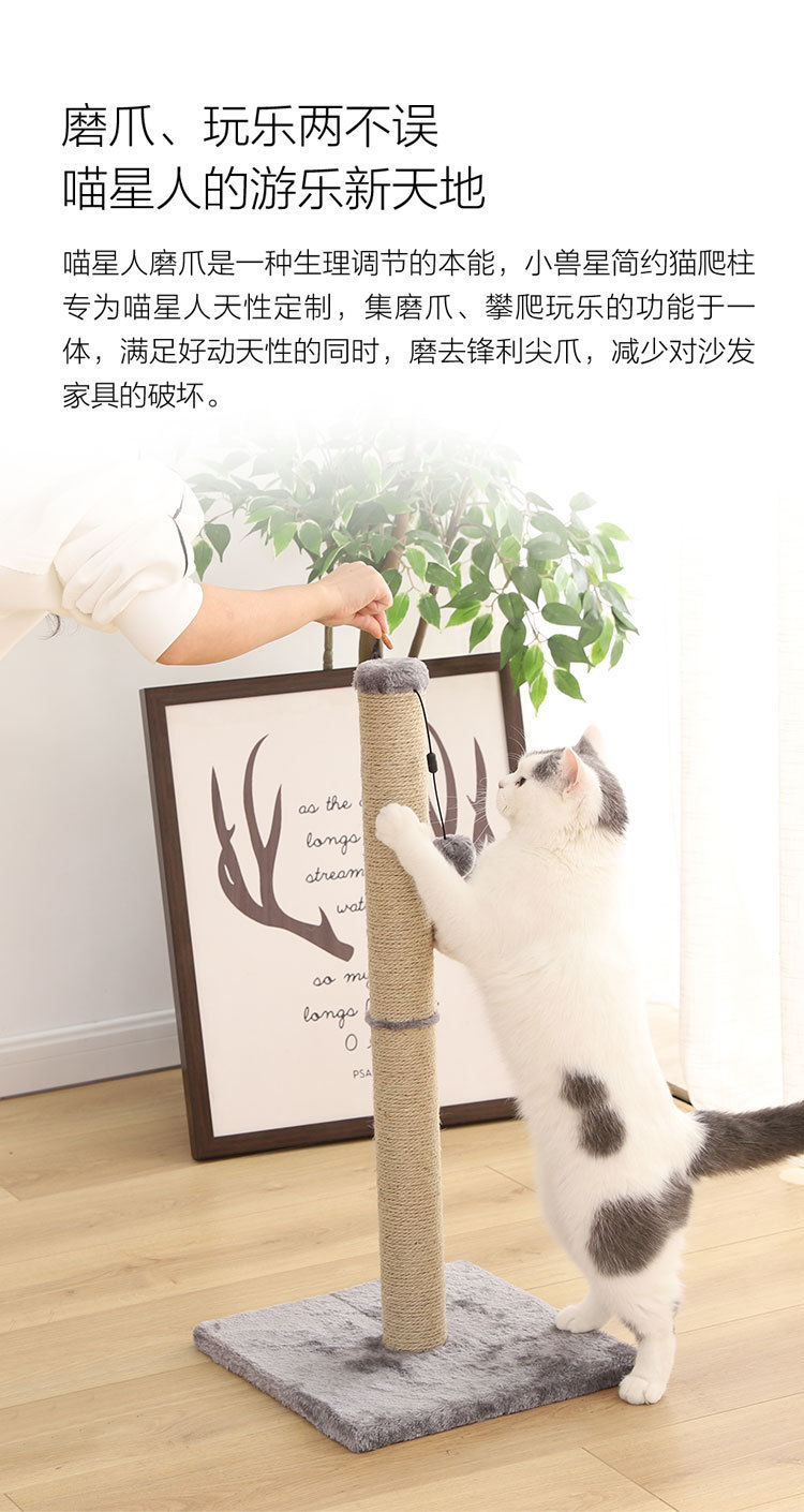 小兽星猫爬柱_02.jpg