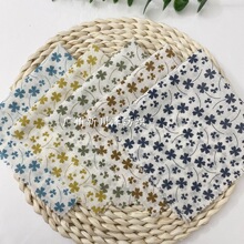 �ļ����� ������ˮӡ������С���»��� ͯ�bŮ�b�B��ȹ����ѝ��