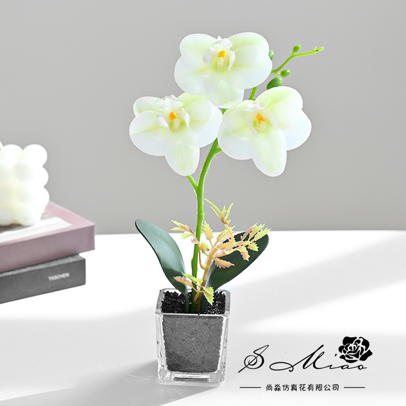 Simulación de flores pequeñas cuatro flores orquídeas mariposa fábrica de bonsai directamente para flores artificiales adornos de decoración interior flores de seda imitación en maceta image 5