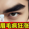 Beauty line COSCIA Eyebrow Essence liquid increase Nutrient solution wild Nursing liquid Conserve Grow