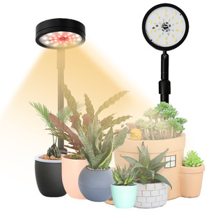 ����ledֲ�����L���b���{��΢���^���þGֲȫ���V������{�a���