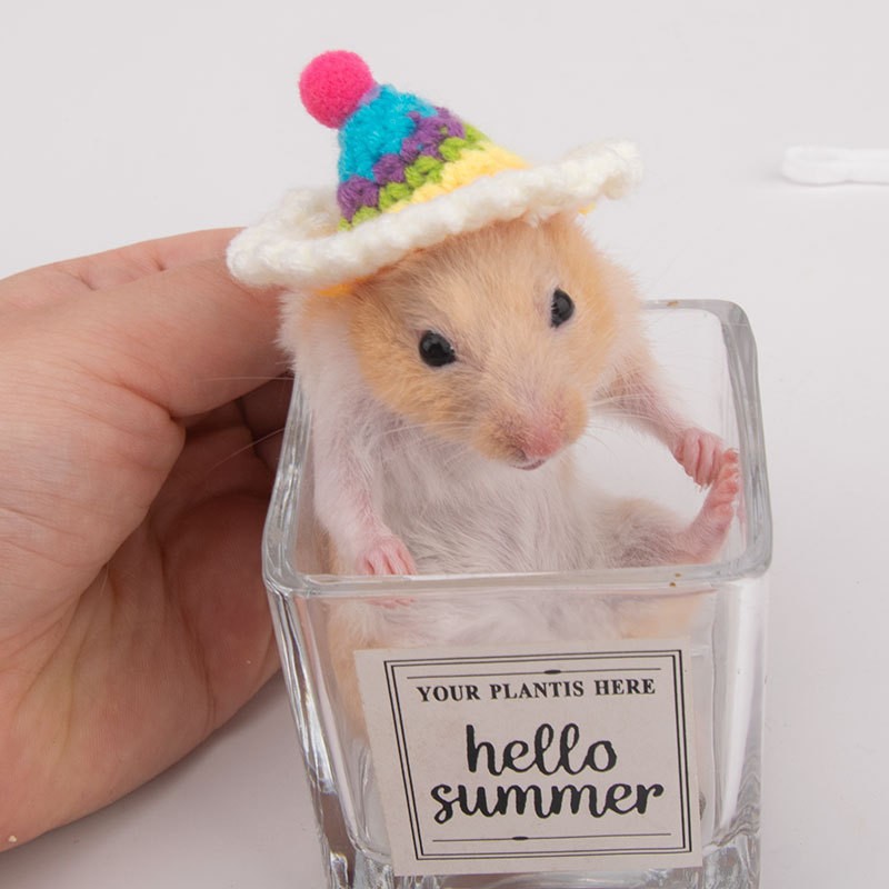 10. 무지개 생일 모자