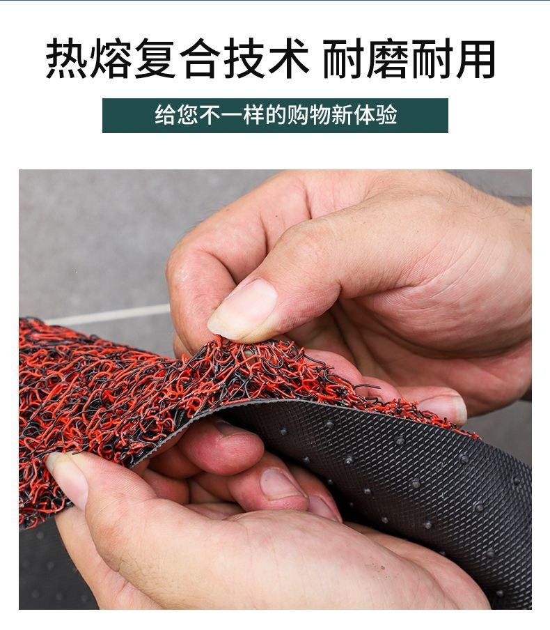 Entrance door mat with silk loops, non-slip entryway mat, bathroom and toilet foot mat, living room door mat, car floor mat